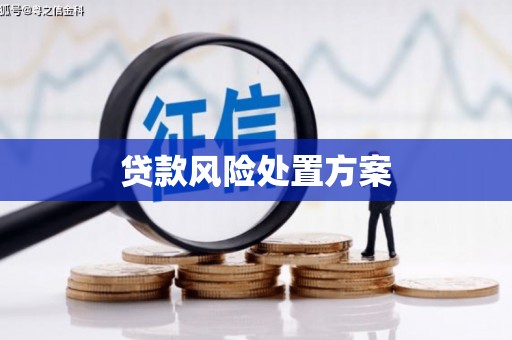 张店贷款风险处置方案