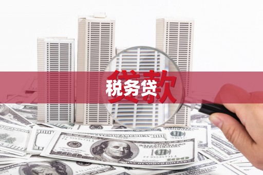 张店税务贷