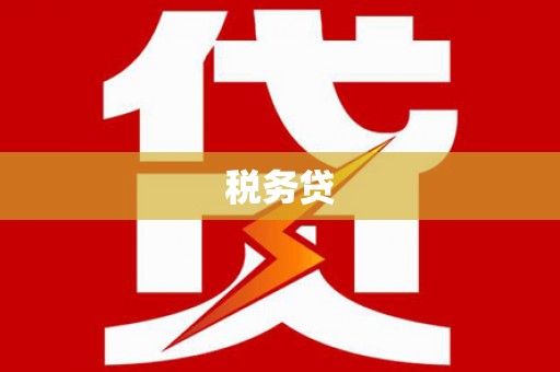 张店税务贷