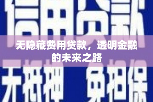 张店无隐藏费用贷款，透明金融的未来之路