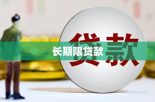 张店长期限贷款