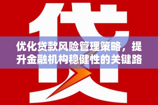 张店优化贷款风险管理策略，提升金融机构稳健性的关键路径