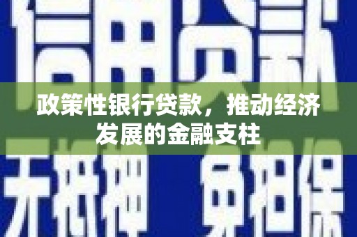 张店政策性银行贷款，推动经济发展的金融支柱