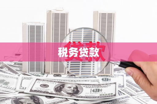 张店税务贷款