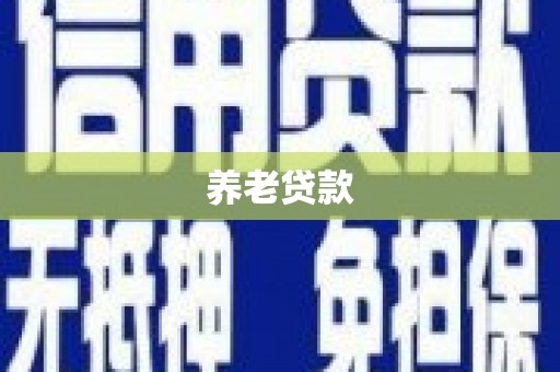 张店养老贷款