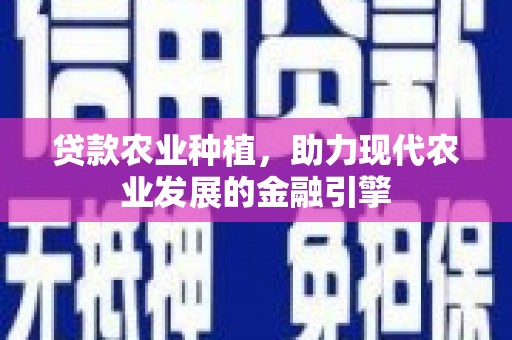 张店贷款农业种植，助力现代农业发展的金融引擎
