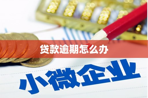 张店贷款逾期怎么办