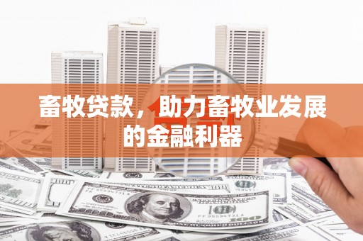 张店畜牧贷款，助力畜牧业发展的金融利器
