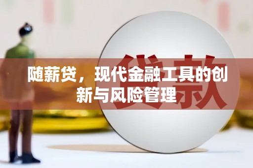 张店随薪贷，现代金融工具的创新与风险管理