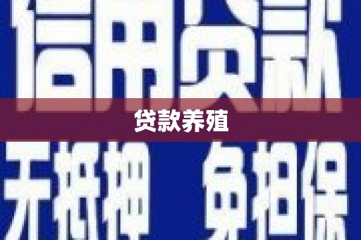 张店贷款养殖