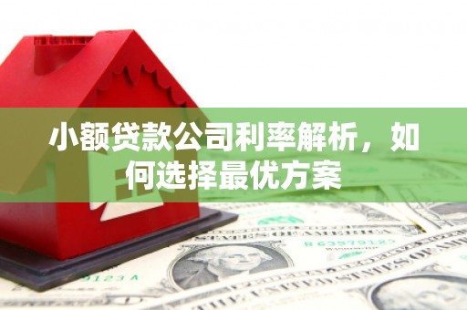张店小额贷款公司利率解析，如何选择最优方案