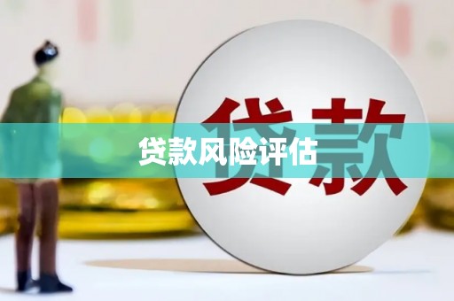 张店贷款风险评估