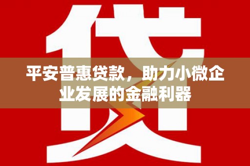 张店平安普惠贷款，助力小微企业发展的金融利器