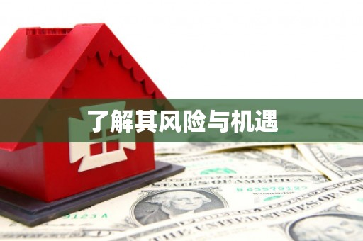 张店了解其风险与机遇