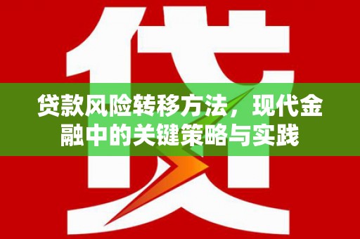 张店贷款风险转移方法，现代金融中的关键策略与实践