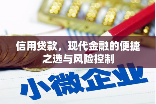 张店信用贷款，现代金融的便捷之选与风险控制