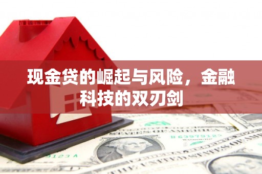 张店现金贷的崛起与风险，金融科技的双刃剑