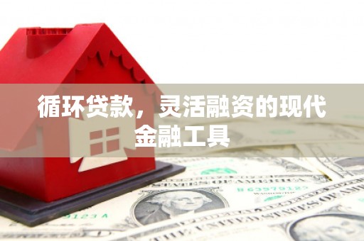 张店循环贷款，灵活融资的现代金融工具