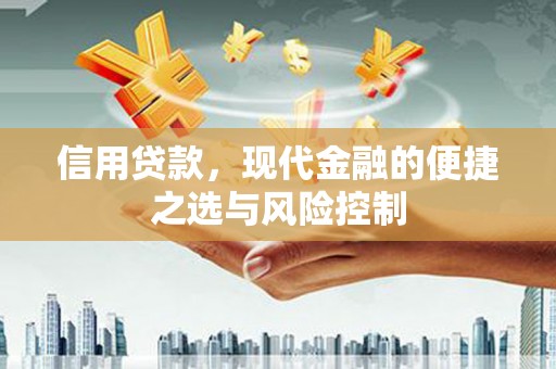 张店信用贷款，现代金融的便捷之选与风险控制