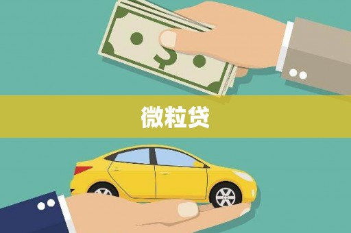 张店微粒贷