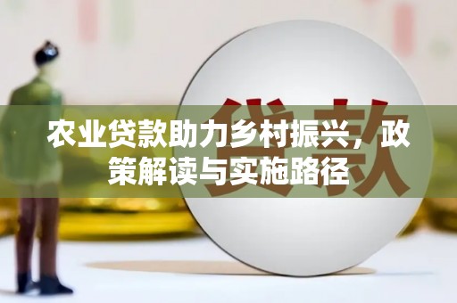 张店农业贷款助力乡村振兴，政策解读与实施路径