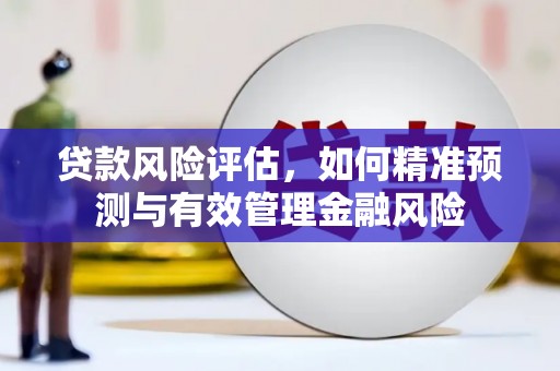 张店贷款风险评估，如何精准预测与有效管理金融风险