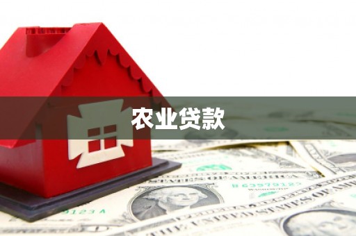 张店农业贷款