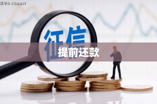 张店提前还款