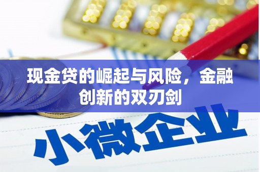 张店现金贷的崛起与风险，金融创新的双刃剑