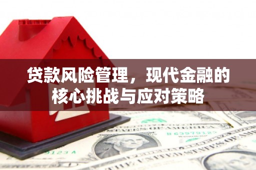 张店贷款风险管理，现代金融的核心挑战与应对策略