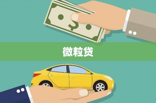 张店微粒贷