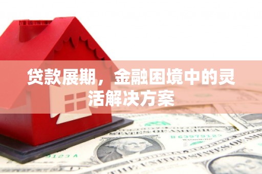 张店贷款展期，金融困境中的灵活解决方案