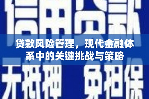 张店贷款风险管理，现代金融体系中的关键挑战与策略