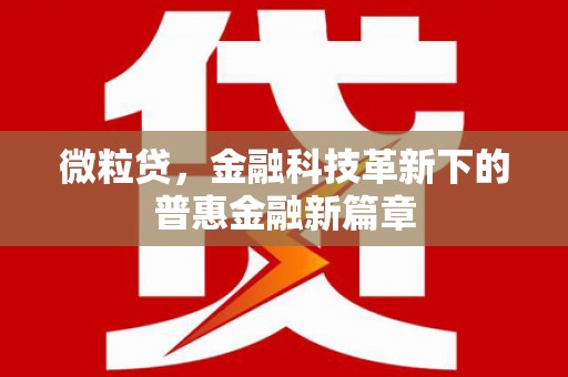 张店微粒贷，金融科技革新下的普惠金融新篇章