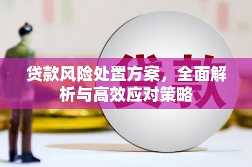 张店贷款风险处置方案，全面解析与高效应对策略