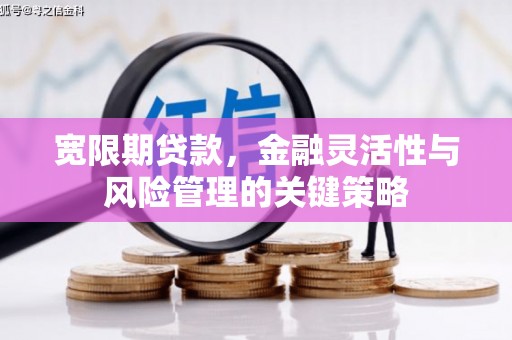 张店宽限期贷款，金融灵活性与风险管理的关键策略
