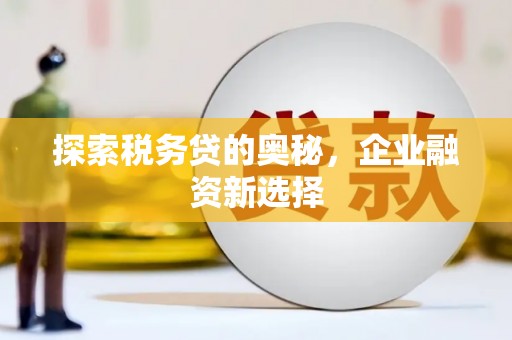 张店探索税务贷的奥秘，企业融资新选择