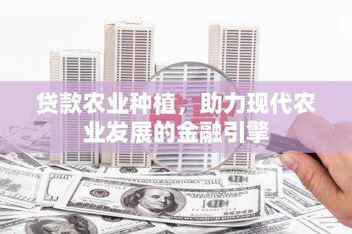 张店贷款农业种植，助力现代农业发展的金融引擎
