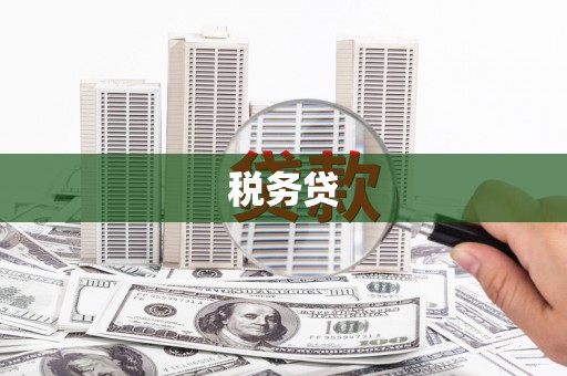 张店税务贷