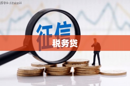 张店税务贷