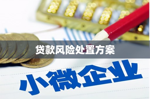 张店贷款风险处置方案