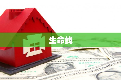 张店生命线