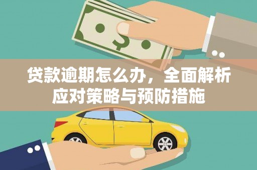 张店贷款逾期怎么办，全面解析应对策略与预防措施