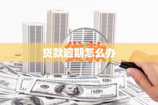 张店贷款逾期怎么办