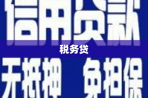 张店税务贷