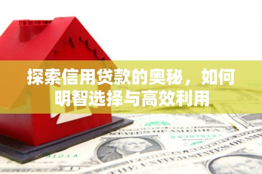 张店探索信用贷款的奥秘，如何明智选择与高效利用