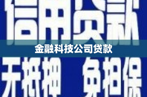 张店金融科技公司贷款