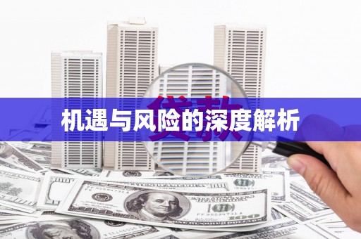 张店机遇与风险的深度解析