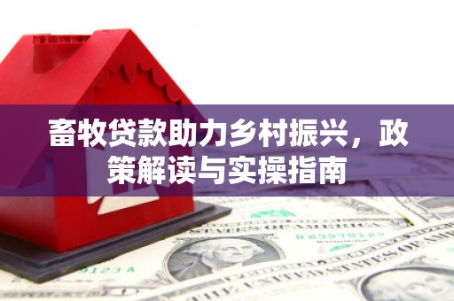 张店畜牧贷款助力乡村振兴，政策解读与实操指南