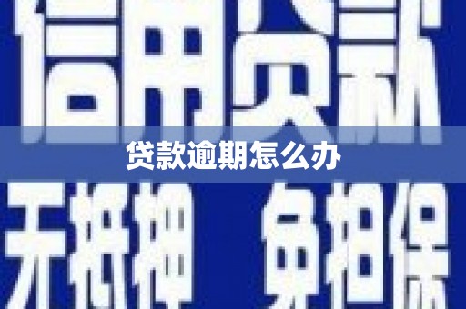 张店贷款逾期怎么办